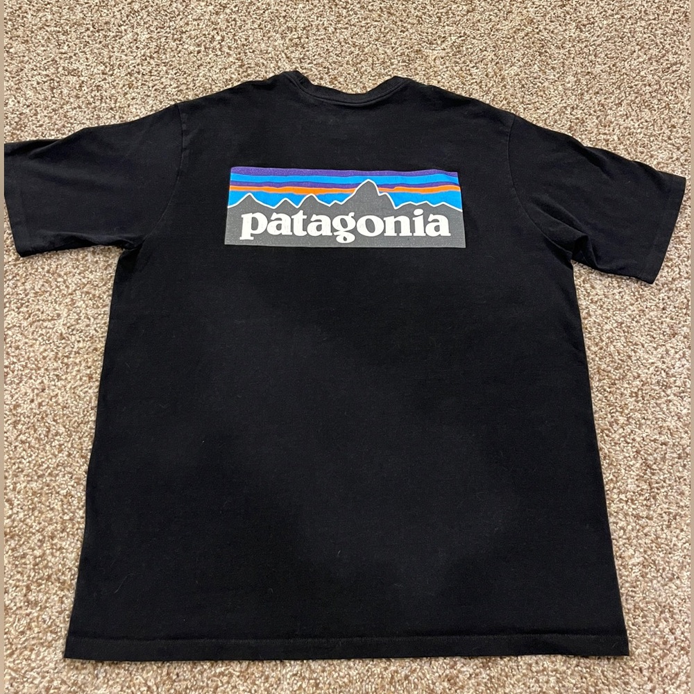 Patagonia Responsibili-Tee, black, mens M